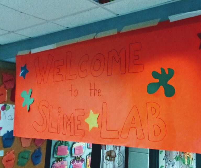 AceraEI brings Whole School STEAM projects to Pyne Arts